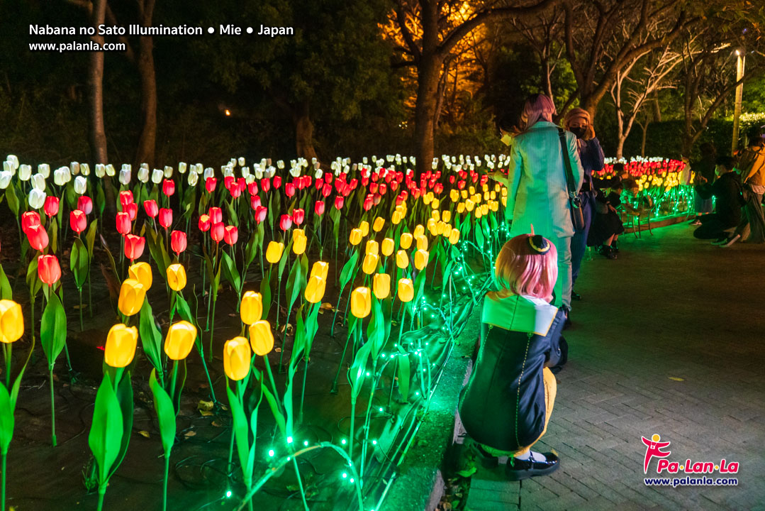 Nabana no Sato Illumination